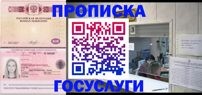 прописка паспорт в Палласовке